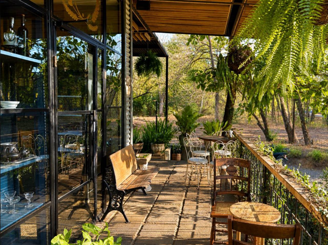Esh - Artisan bakery and bistro in Nosara