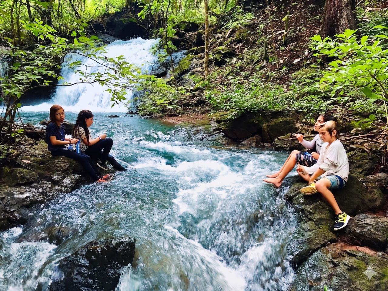Jungle Waterfall