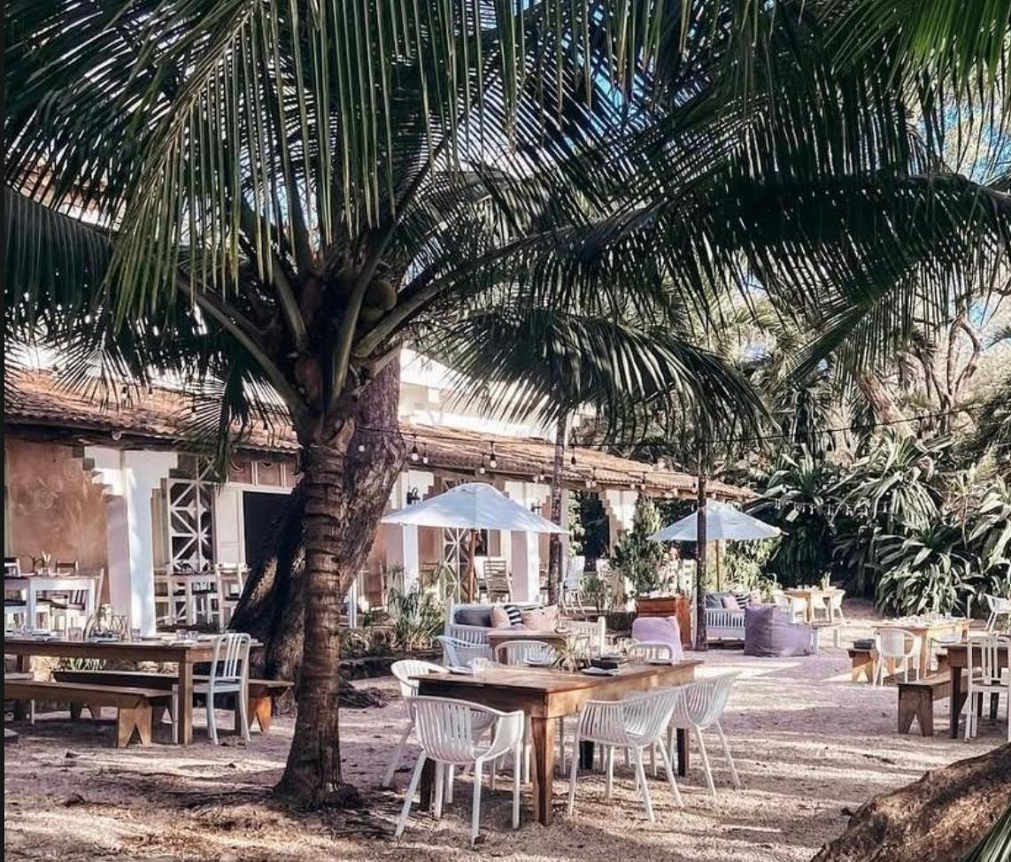 La Luna - Beachside restaurant and bar in Nosara