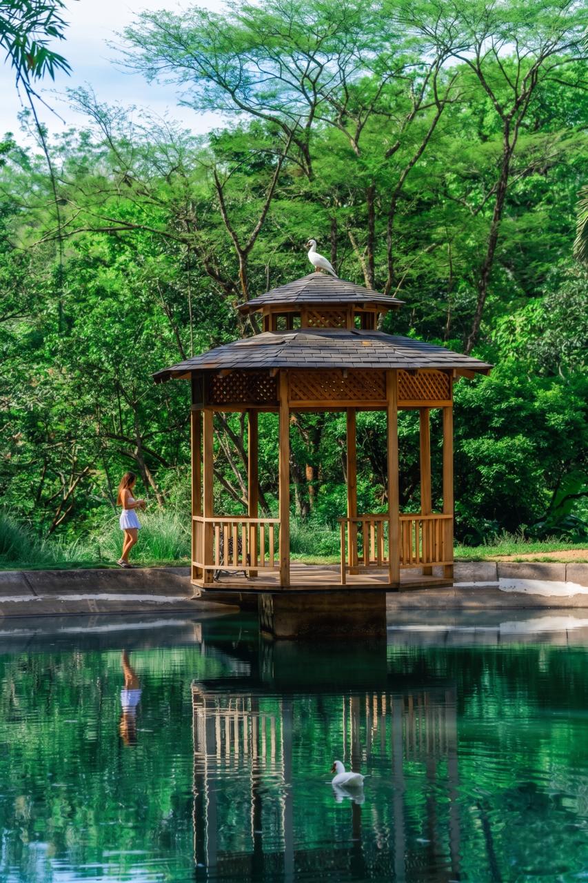 Gazebo by the lagoon with egret